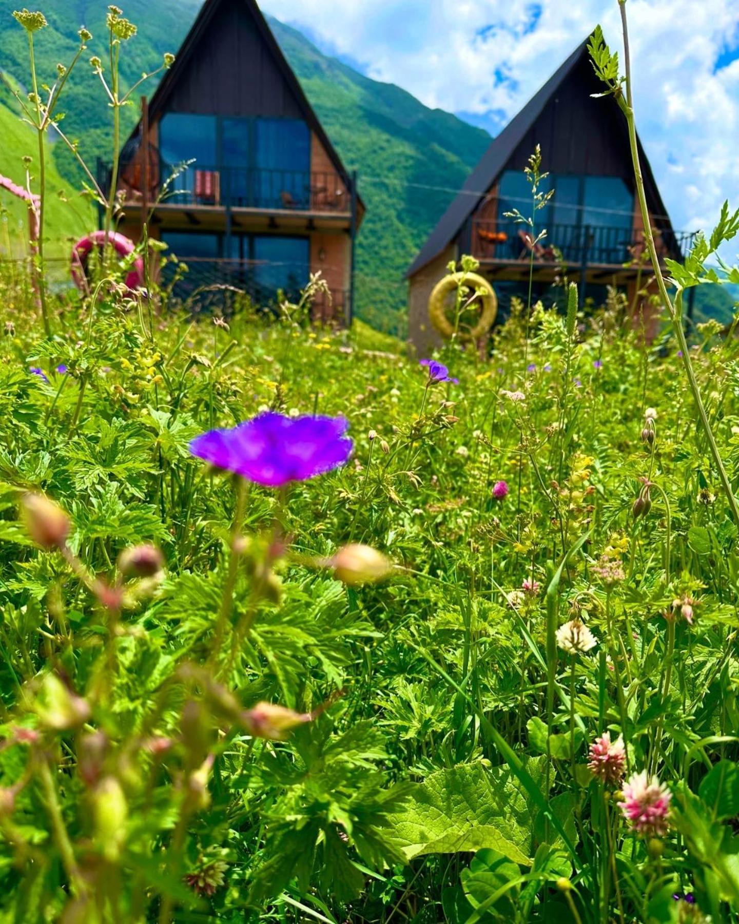 Royal Cottages Kazbegi Kültér fotó